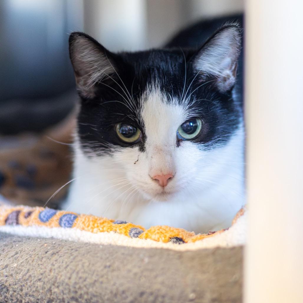 Zane — thumbnail 5