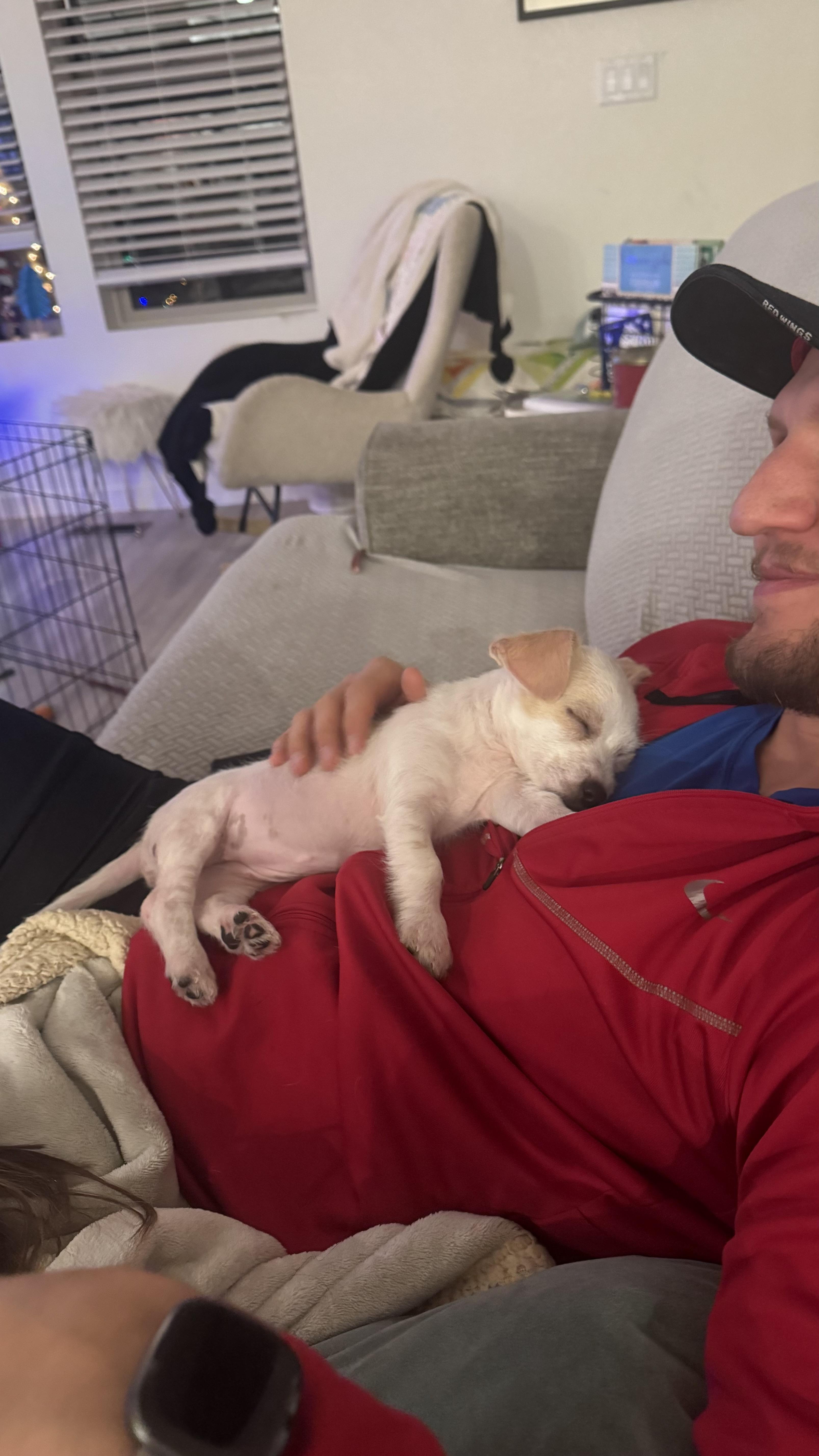 Enlarge Princess, a ADOPTABLE mixed breed in Commerce City, CO image 2/5