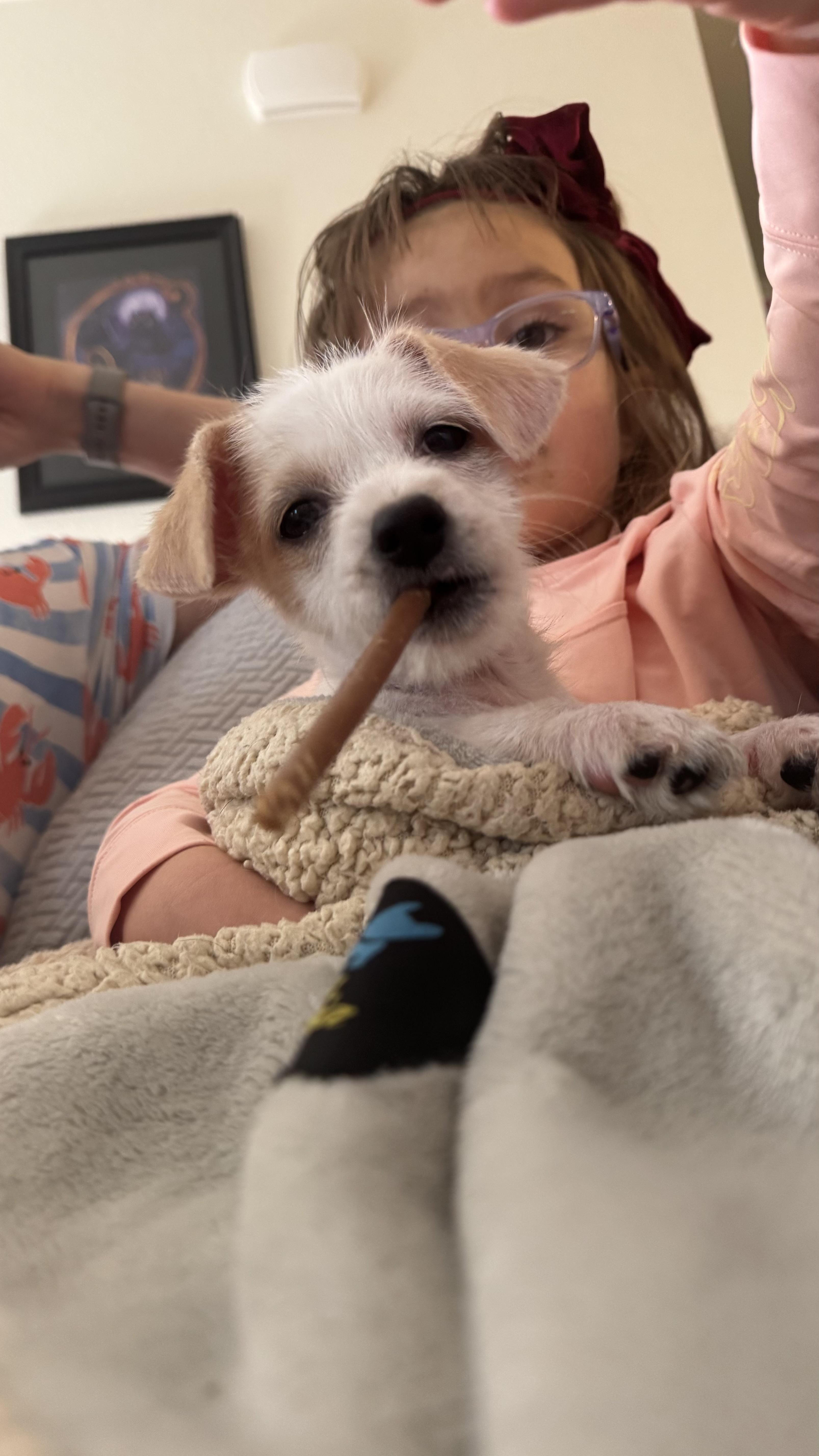 Enlarge Princess, a ADOPTABLE mixed breed in Commerce City, CO image 5/5