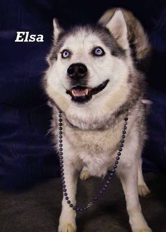 Elsa