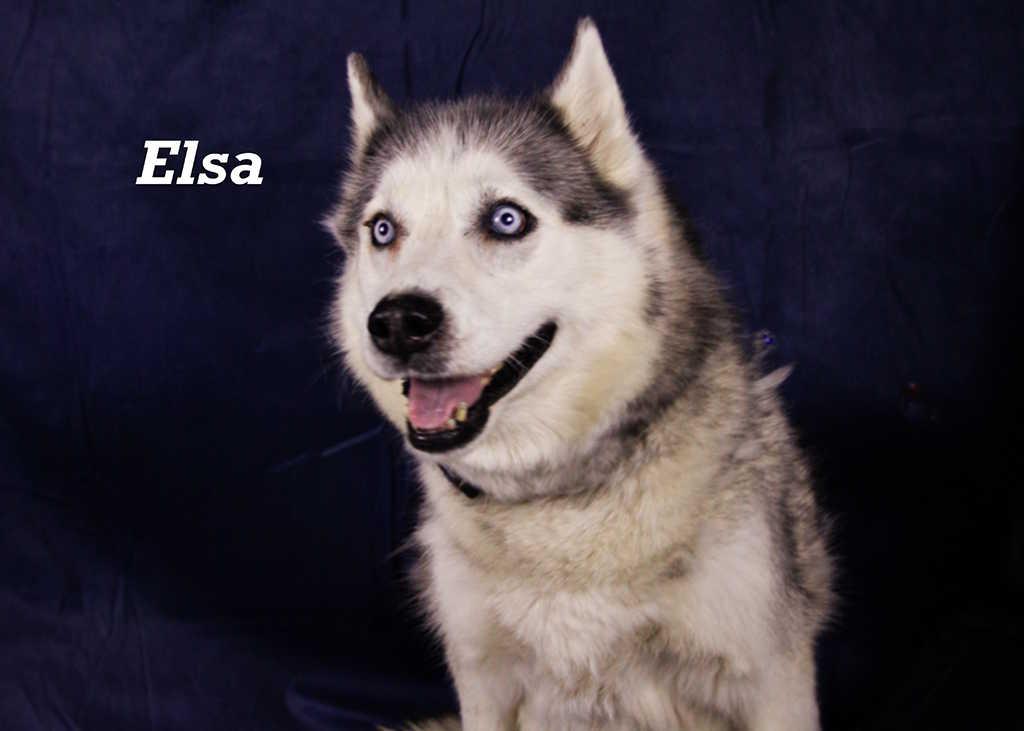 Elsa 2
