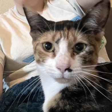 Tuvalu — thumbnail 4