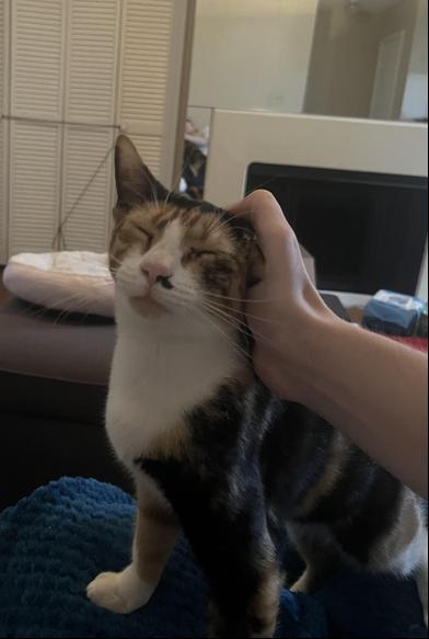 Tuvalu — thumbnail 5