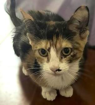 Tuvalu — thumbnail 6