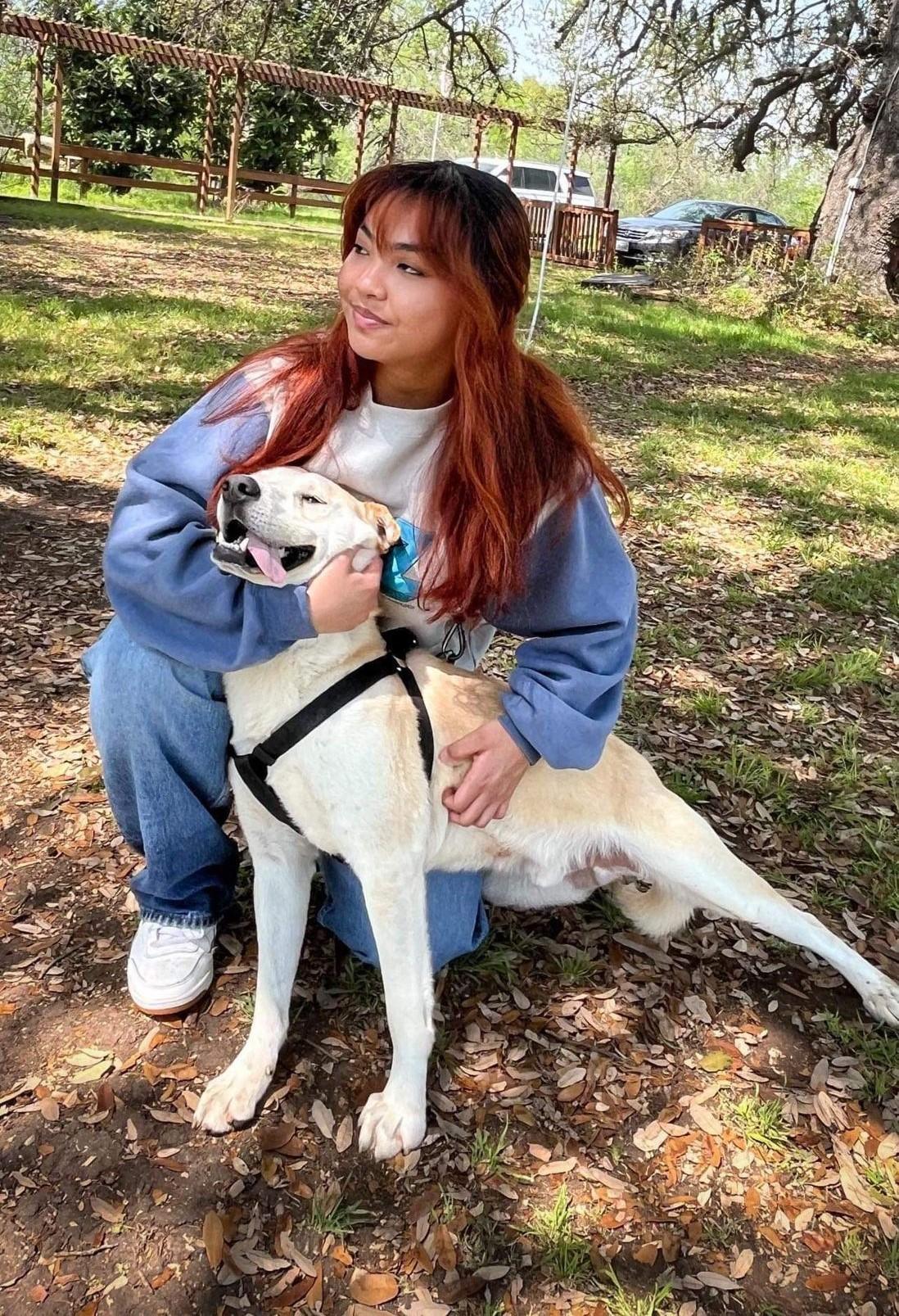 Enlarge Loki, a Adoptable mixed breed in San Antonio, TX image 3/3