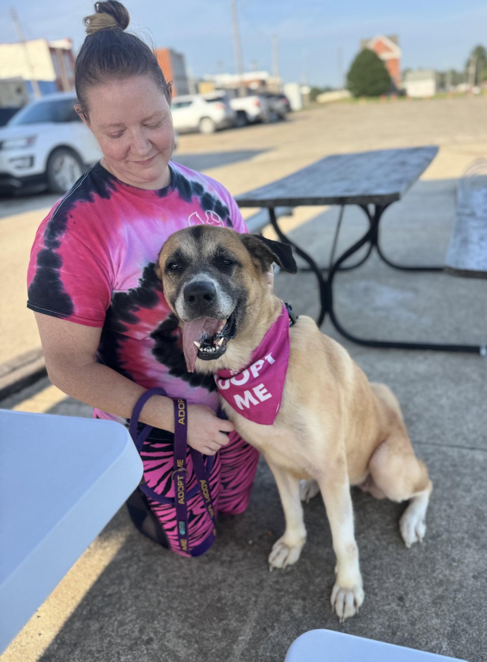 Enlarge Alice, a Adoptable mixed breed in Williamsburg, IA image 2/3