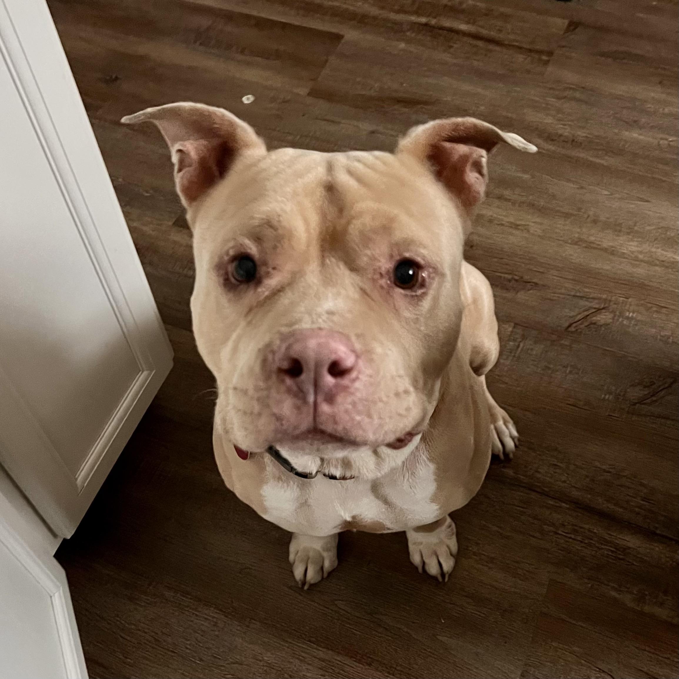 Magic Johnson — thumbnail 3