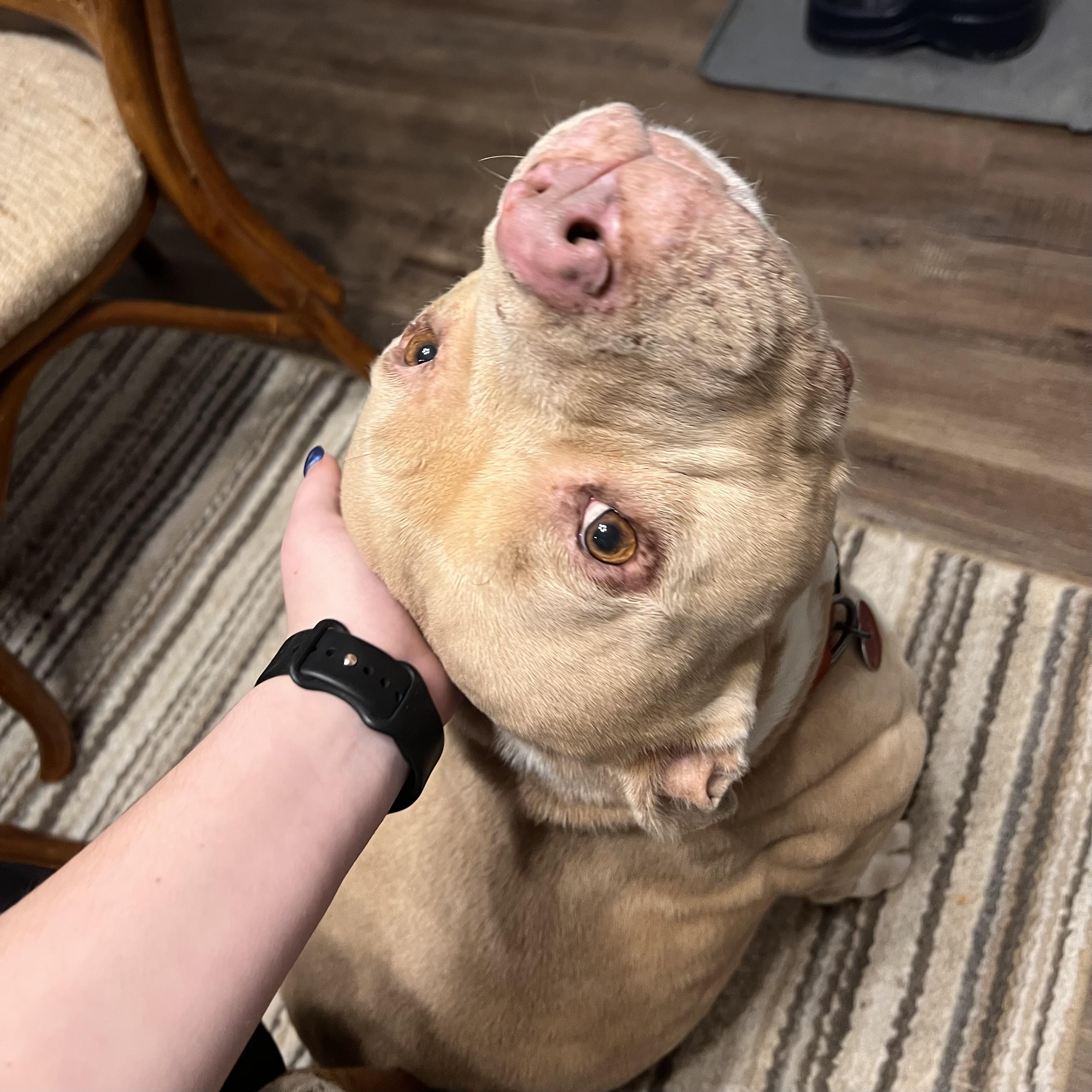 Magic Johnson — thumbnail 4