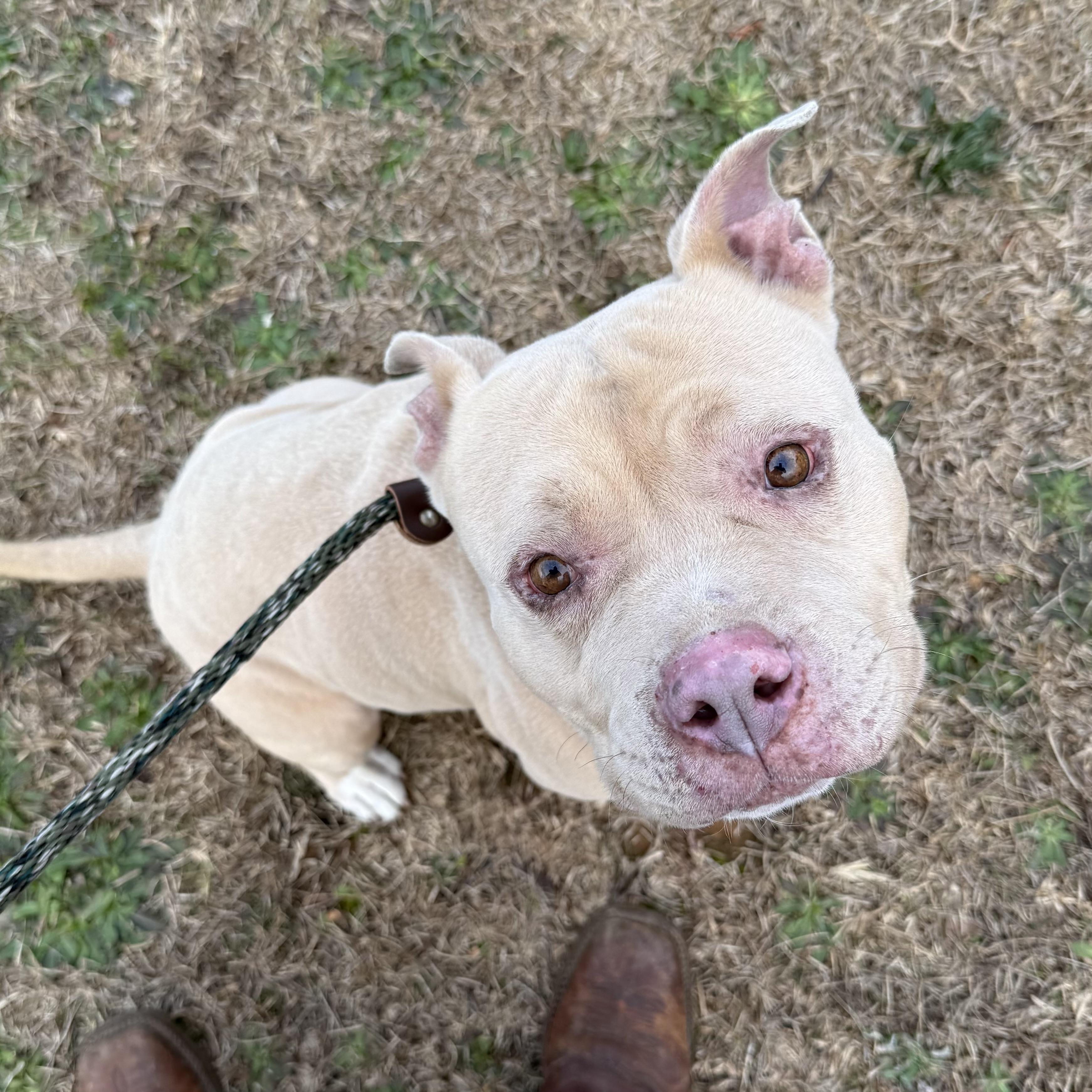 Magic Johnson — thumbnail 5