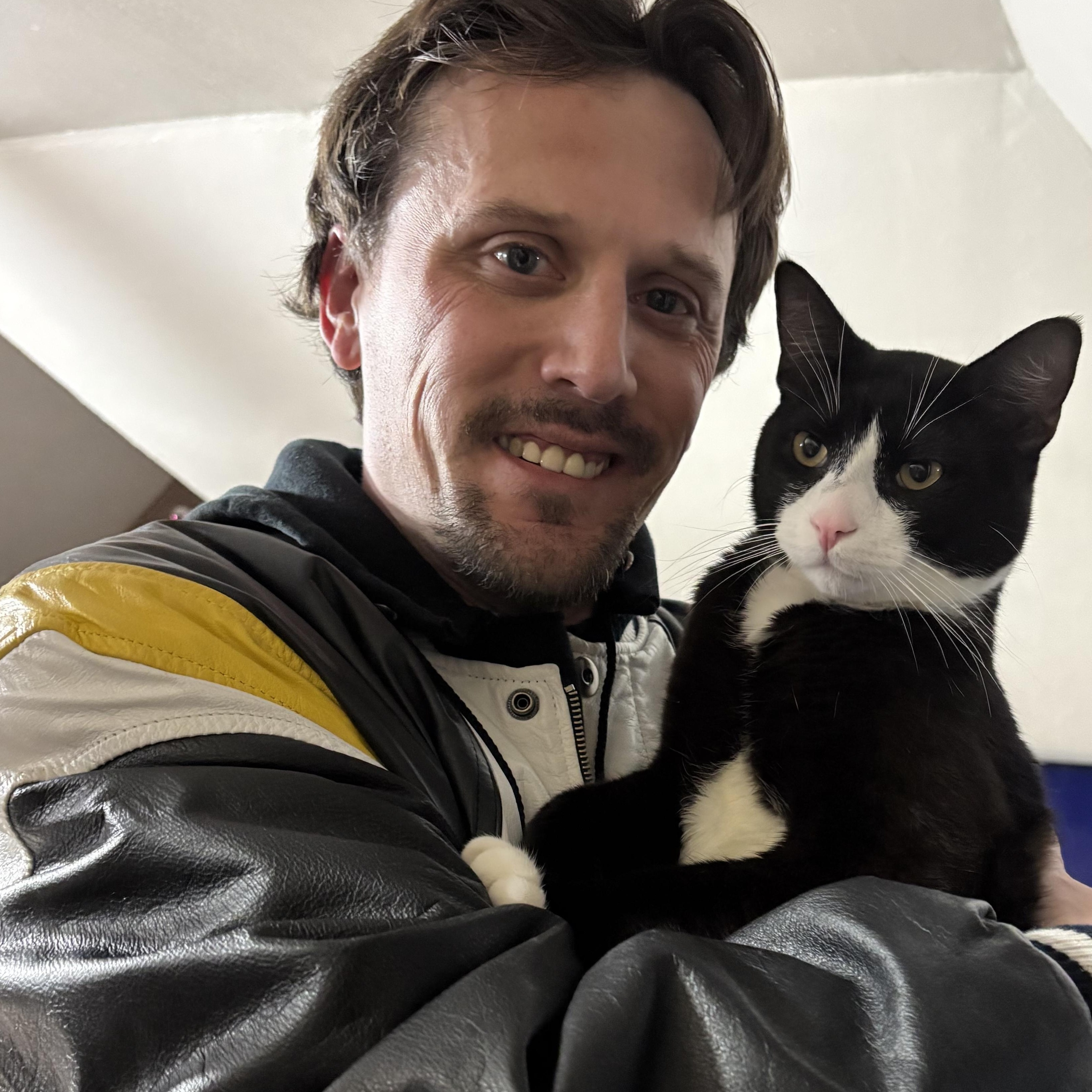 Enlarge TONY, an adopted Domestic Short Hair in Pittsburgh, PA image 1/1