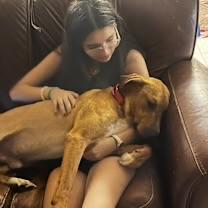 Enlarge Rally, a ADOPTABLE mixed breed in Gilbert, AZ image 2/4