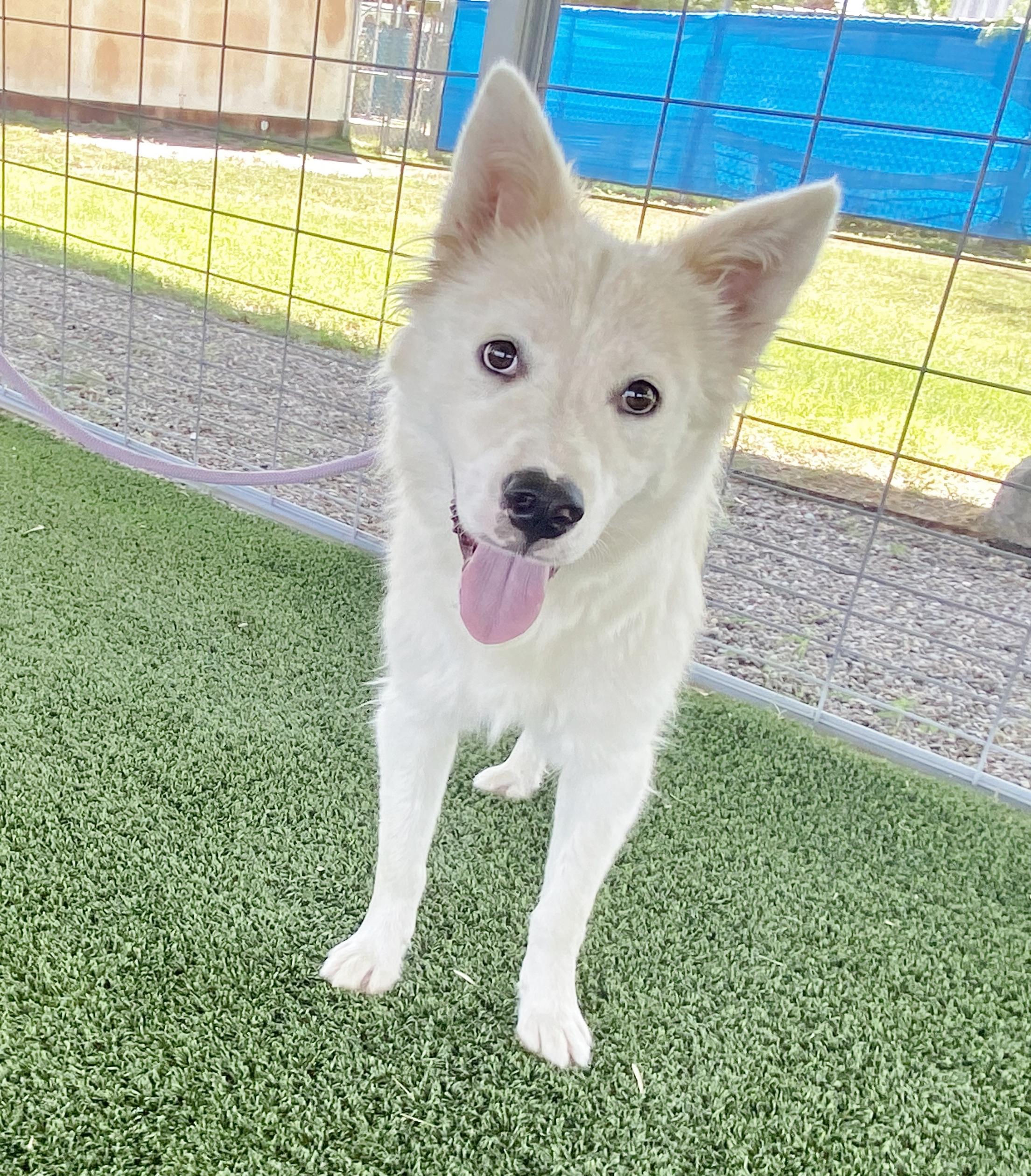 Maverick photo 2