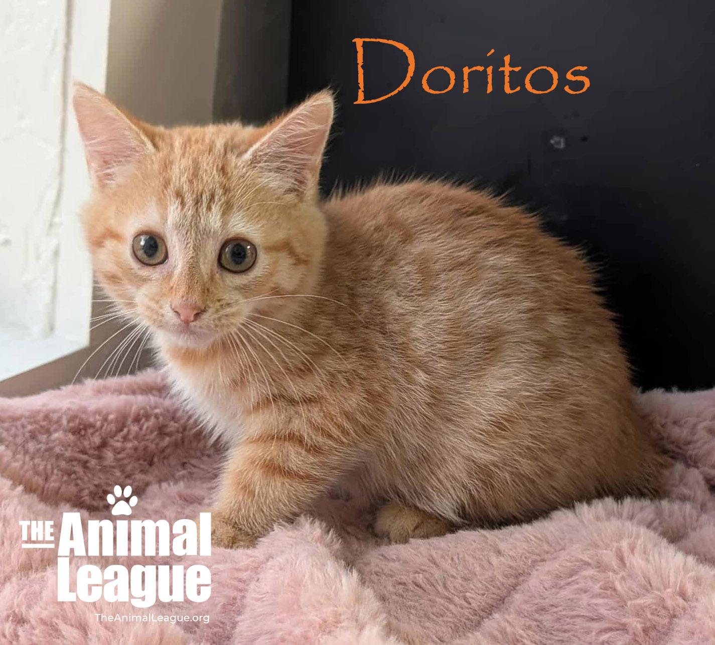 Doritos