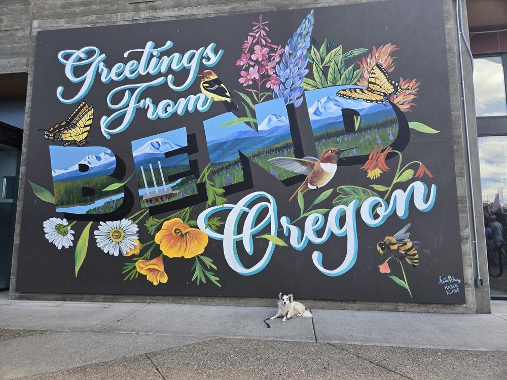 Enlarge Pinky, a Adoptable mixed breed in Bend, OR image 5/6