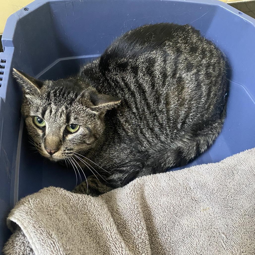 Edie — thumbnail 2