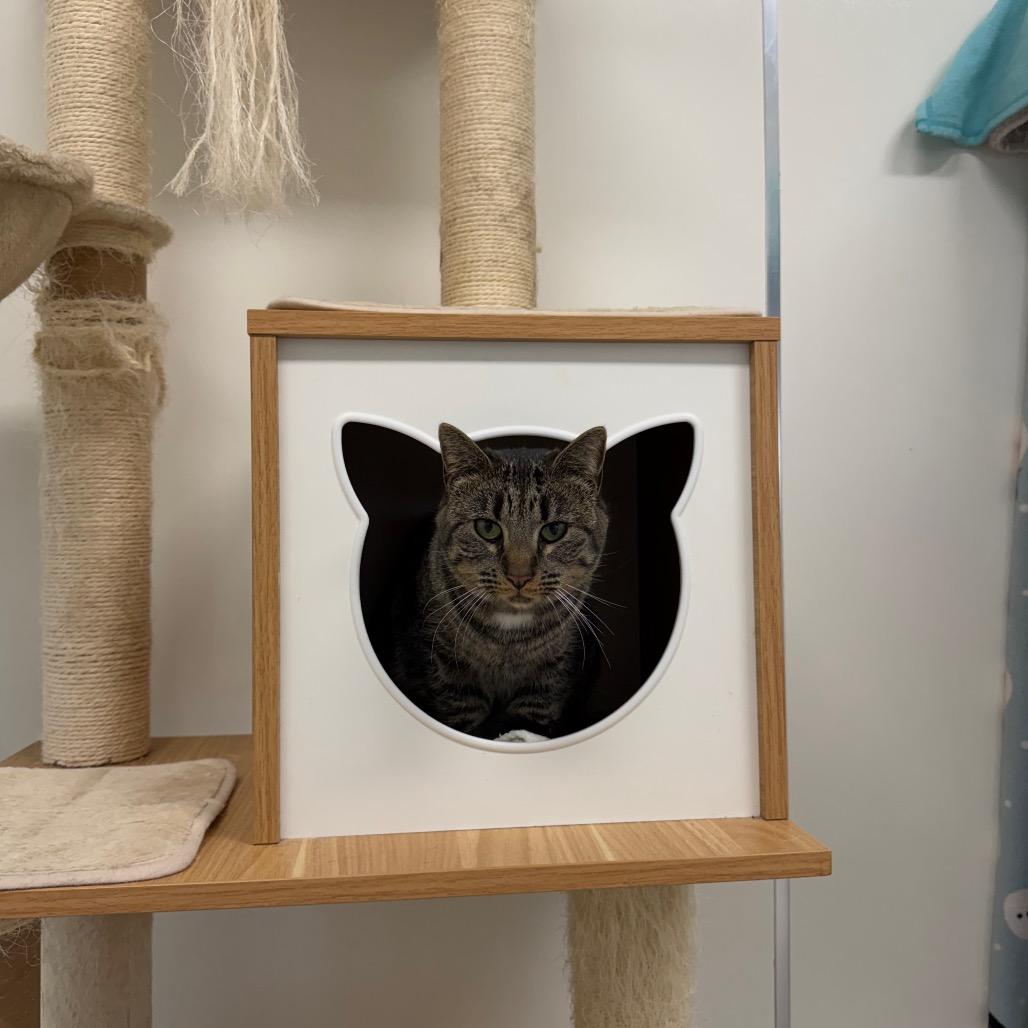 Edie — thumbnail 3