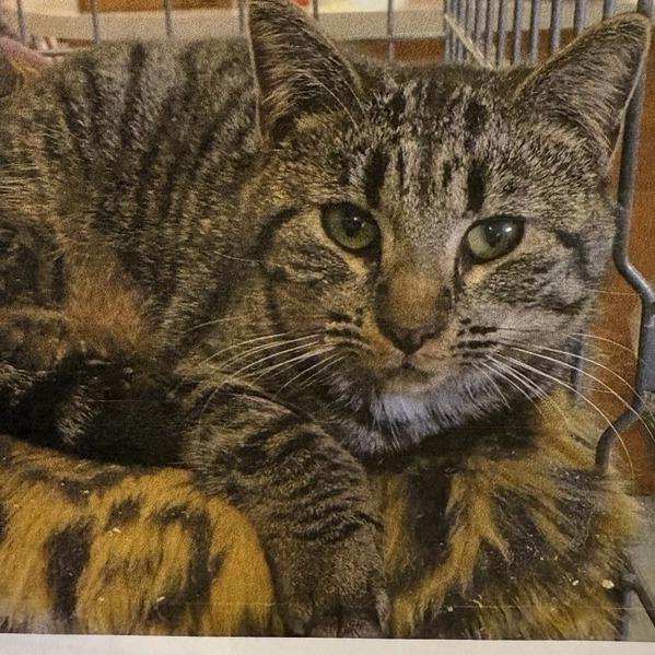 Edie — thumbnail 4