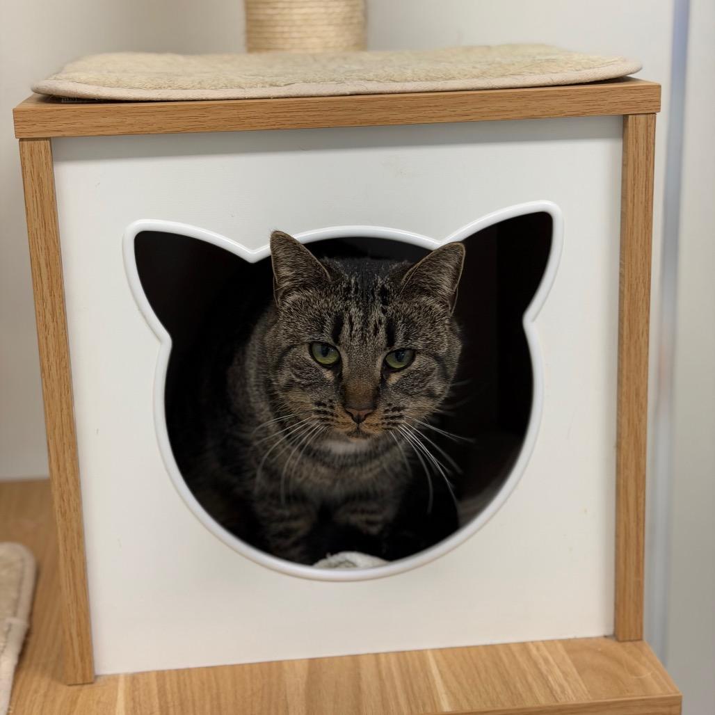 Edie — thumbnail 5