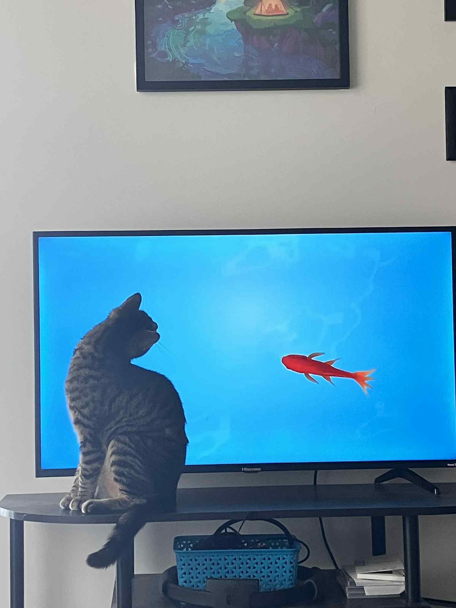 Enlarge Ren, a Adoptable Tabby in Orleans, ON image 2/6