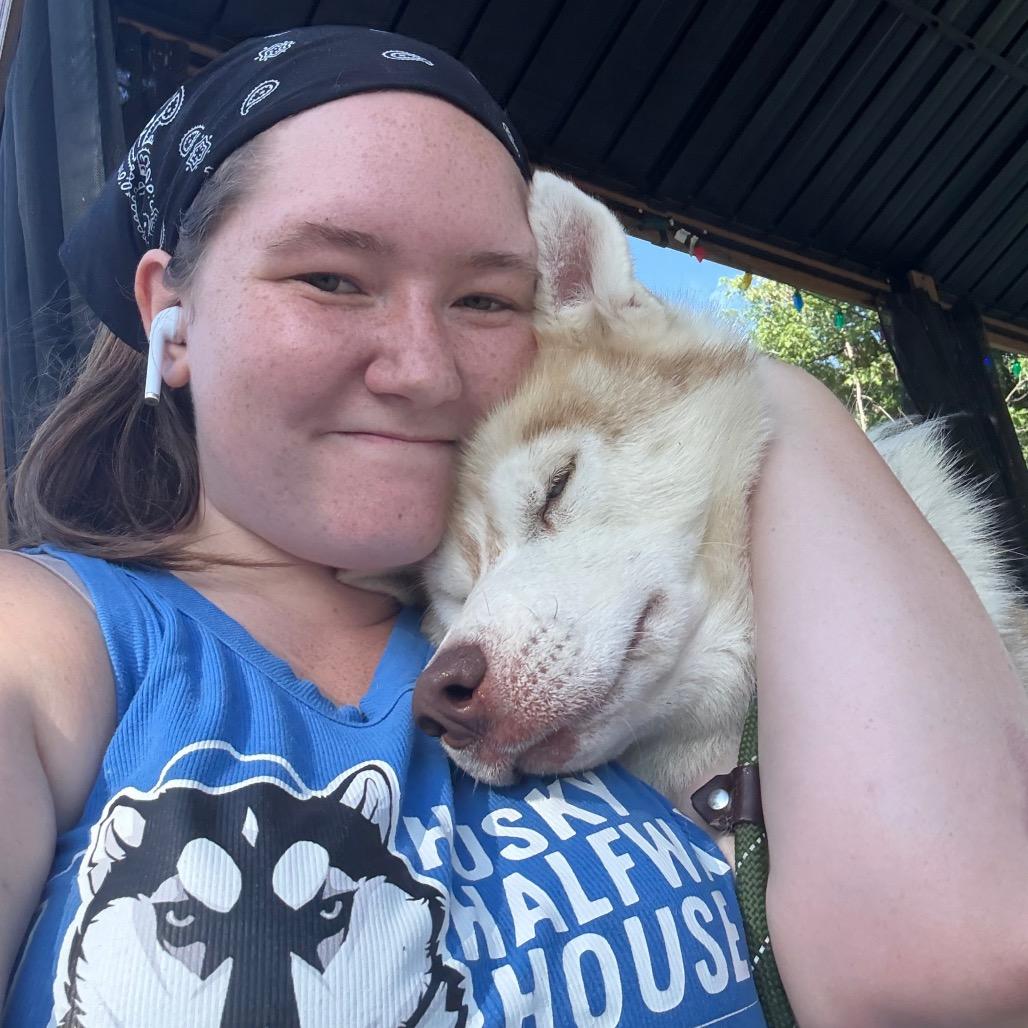 Enlarge Lafayette, a Adoptable Husky in Eufaula, OK image 6/6