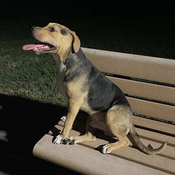 DIEGO — thumbnail 4