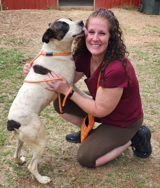 Enlarge Lulu, a Adoptable mixed breed in Seguin, TX image 4/5