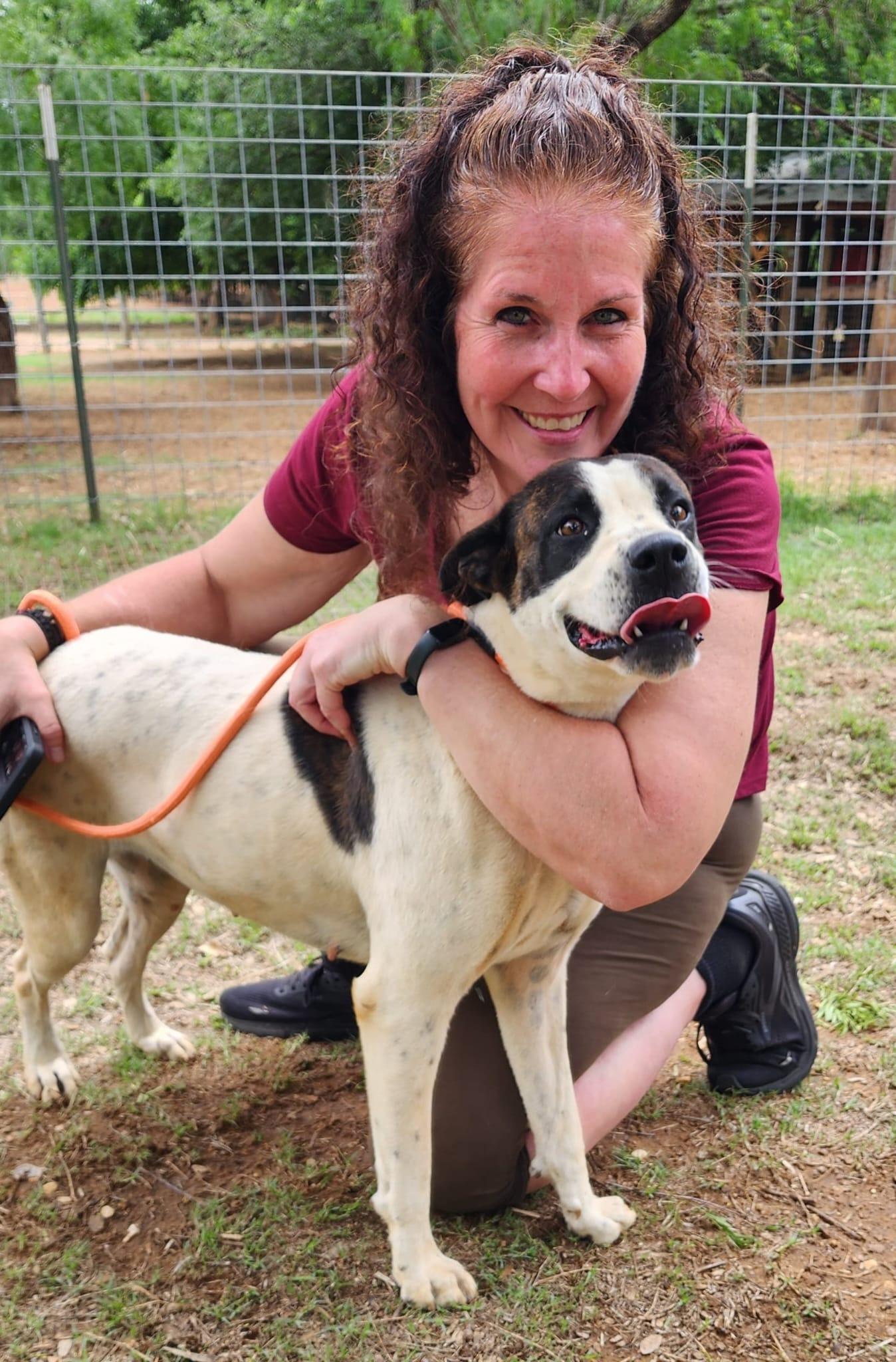 Enlarge Lulu, a Adoptable mixed breed in Seguin, TX image 3/5