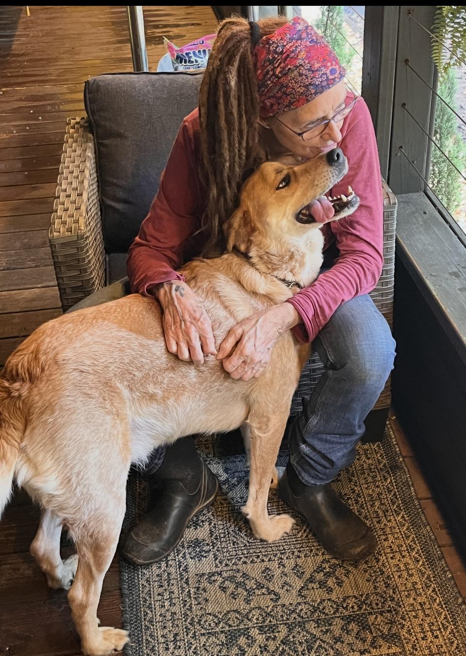 Buddy, a ADOPTABLE mixed breed in Rutherfordton, NC image 2/4