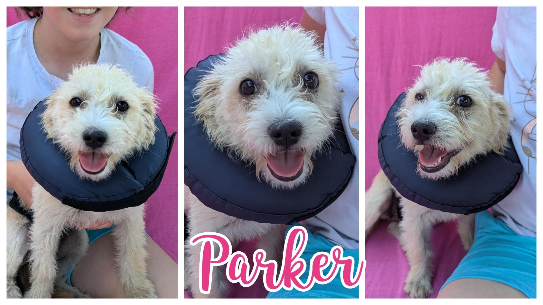 Parker