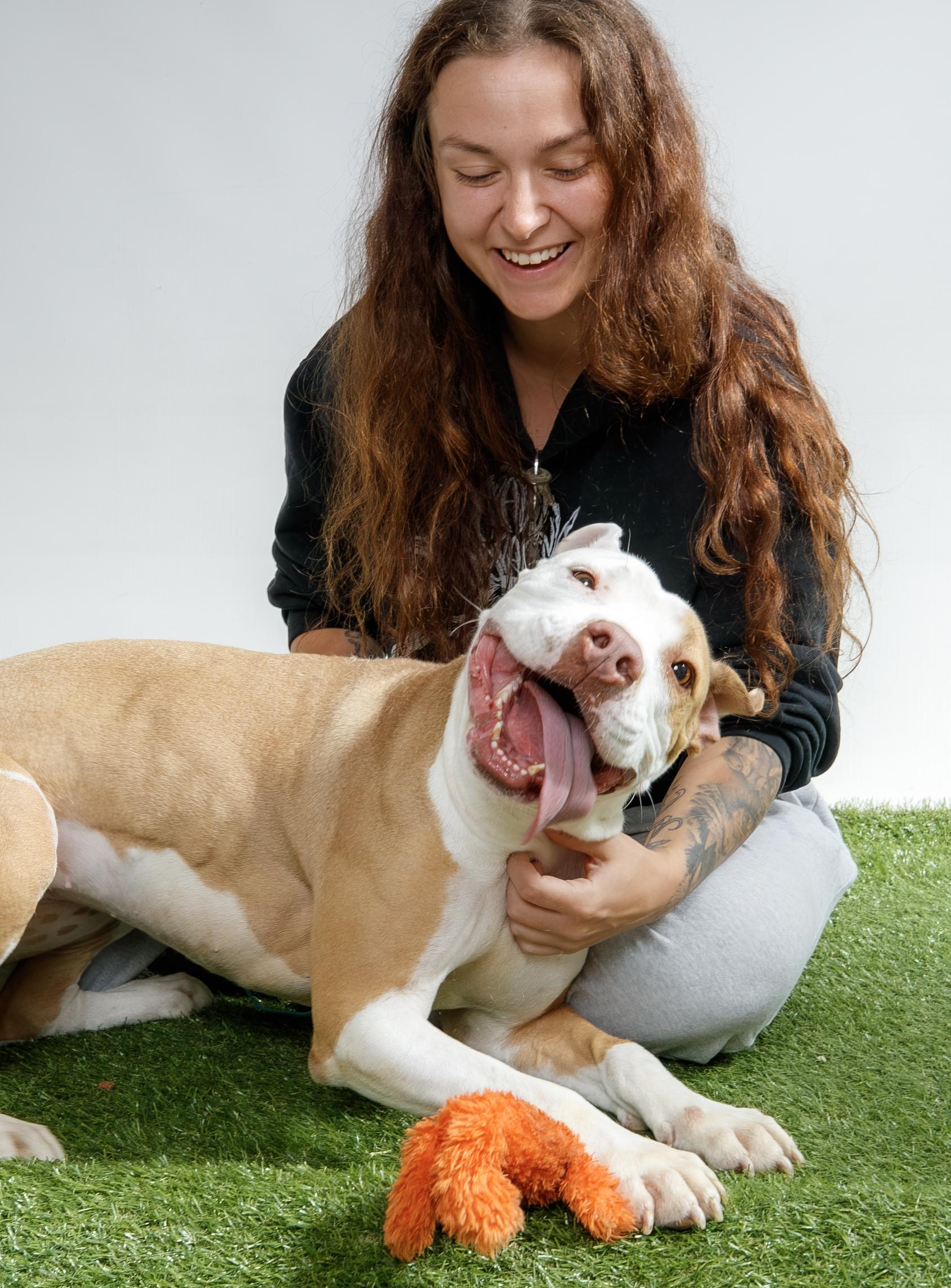 Enlarge Sundae, a Adoptable Pit Bull Terrier in Harvey , LA image 4/4