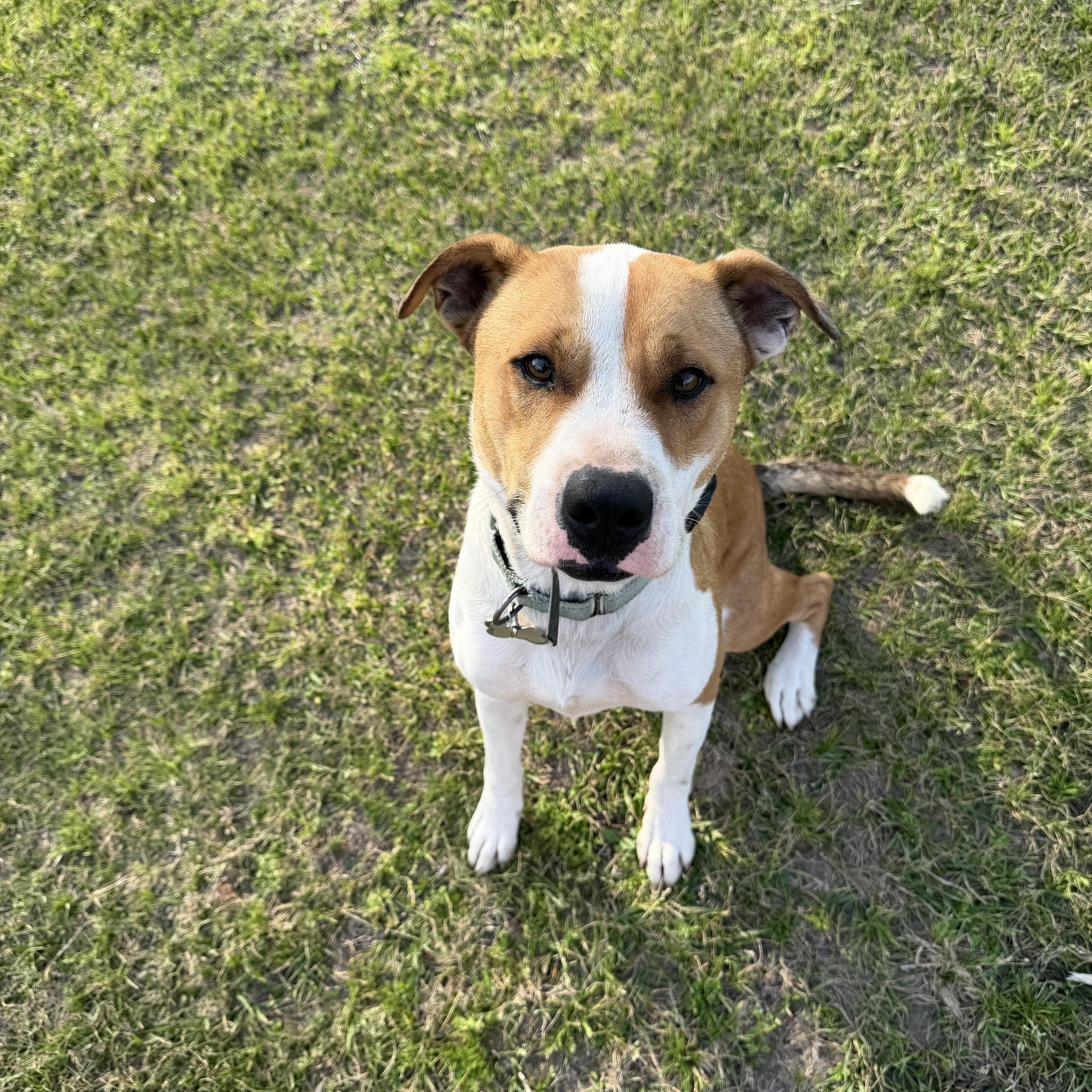 Benie — thumbnail 4