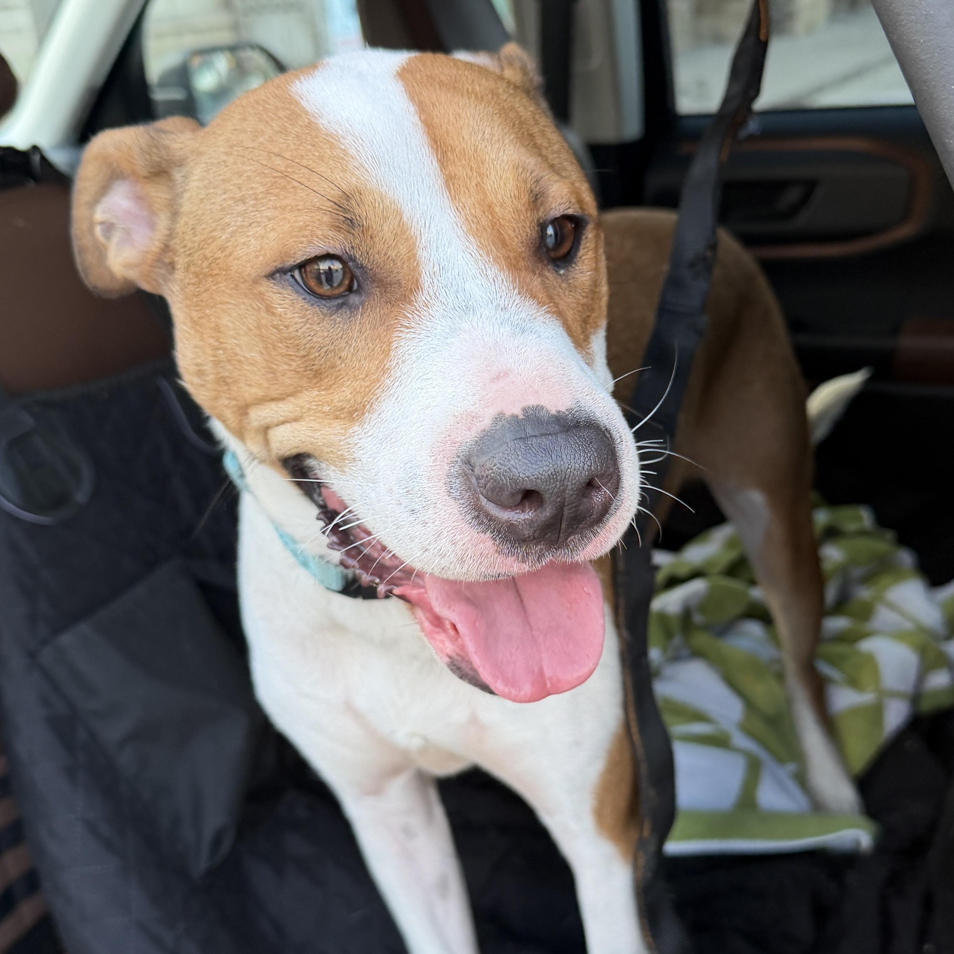 Benie — thumbnail 5