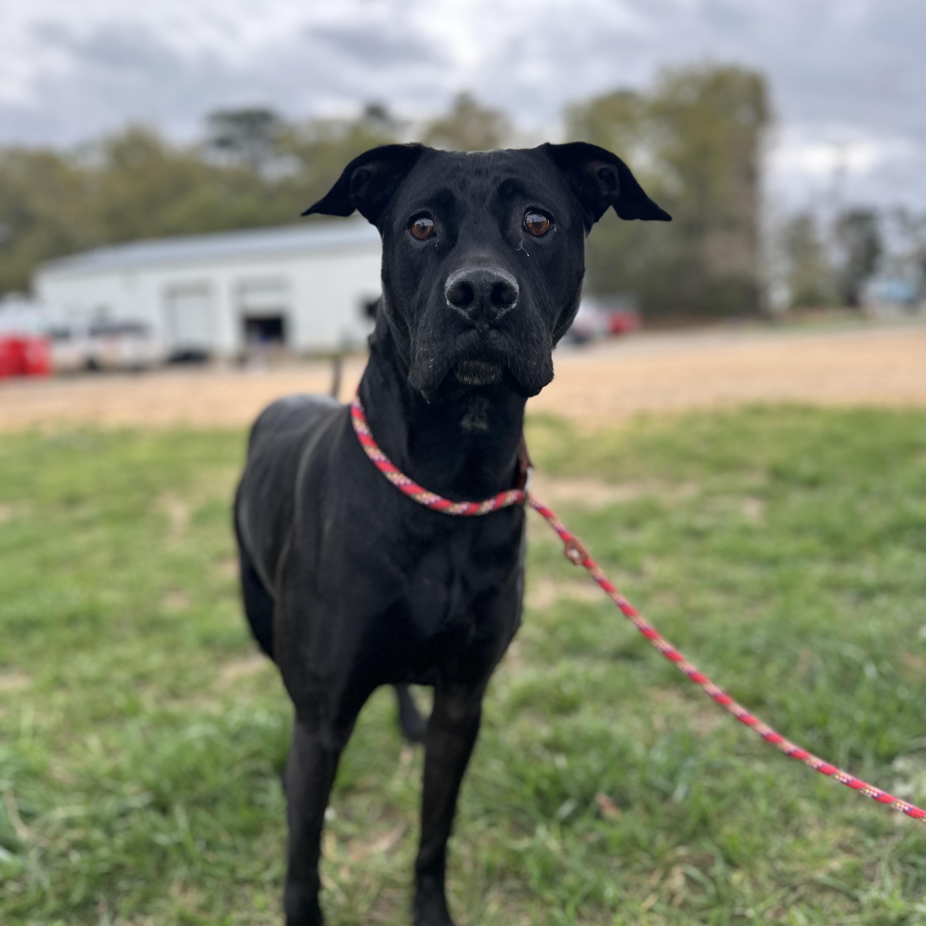 Hilda — thumbnail 2