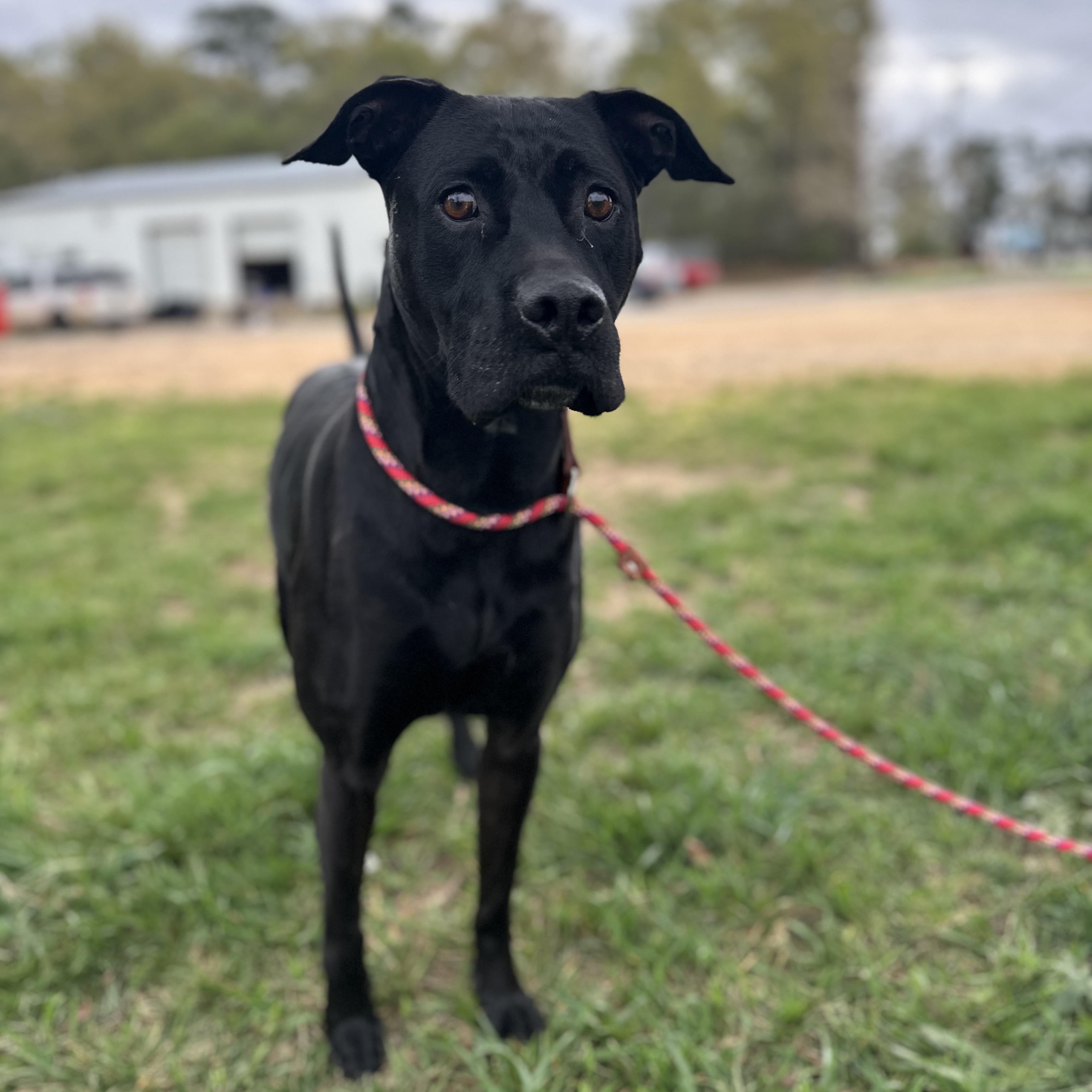 Hilda — thumbnail 3