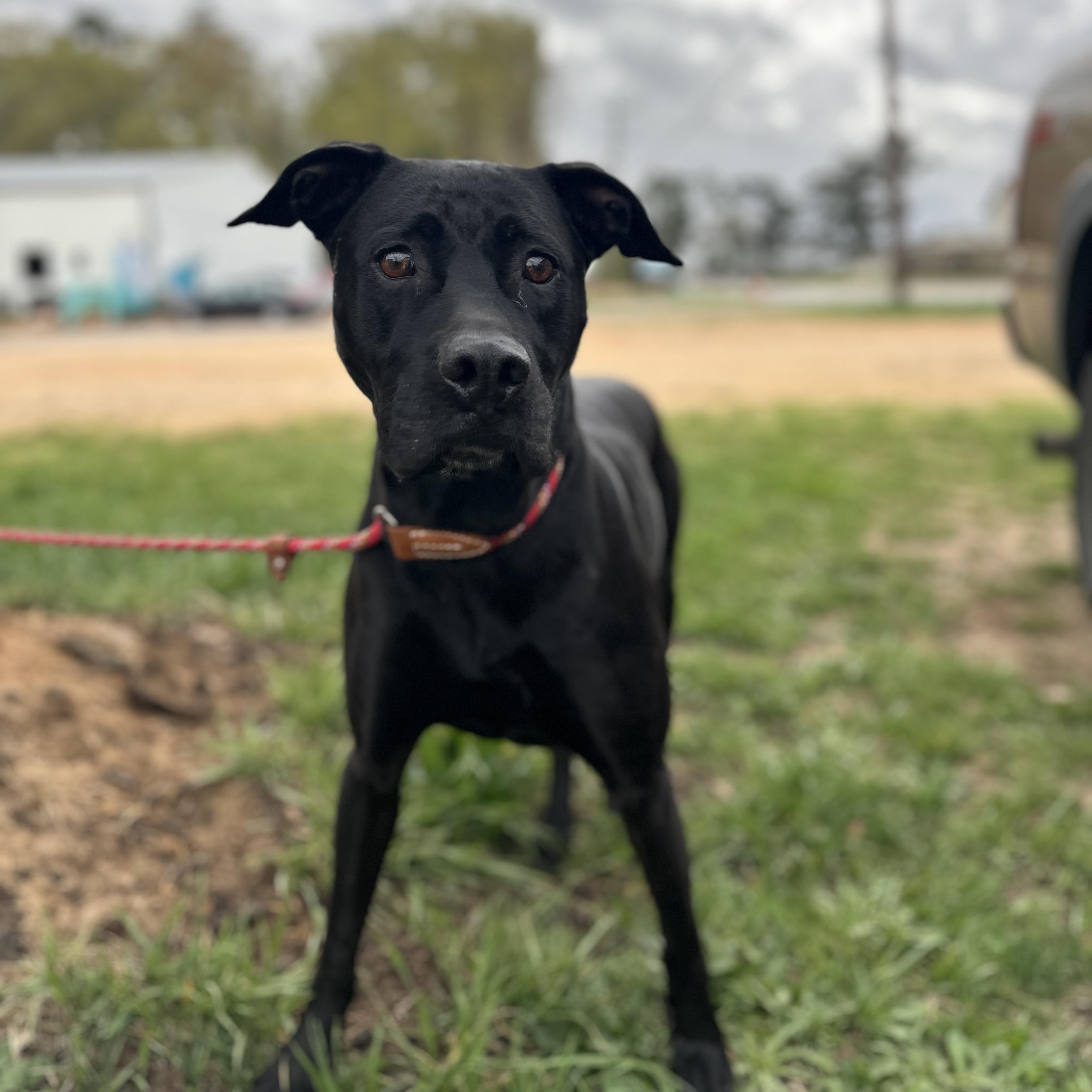 Hilda — thumbnail 5