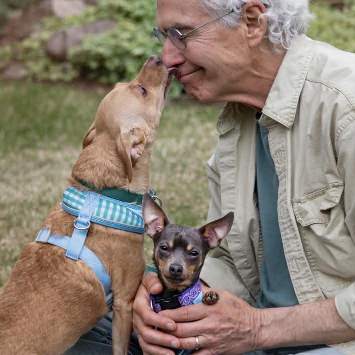 Enlarge Jake & Finn, a ADOPTABLE mixed breed in Boulder, CO image 4/6