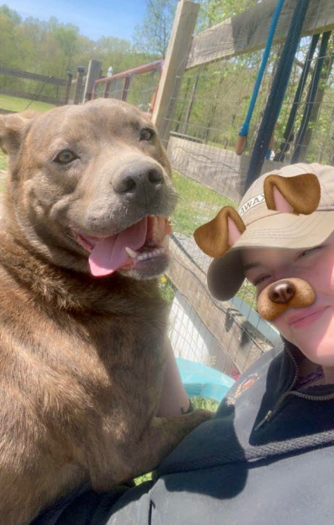 Rigby, a Adoptable mixed breed in Georgetown, TN image 3/8