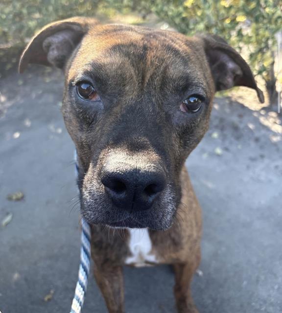 GILMORE — thumbnail 2