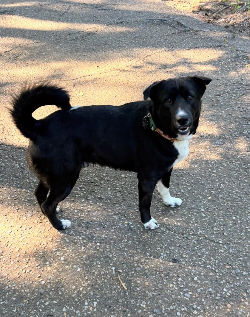 BUSTER photo