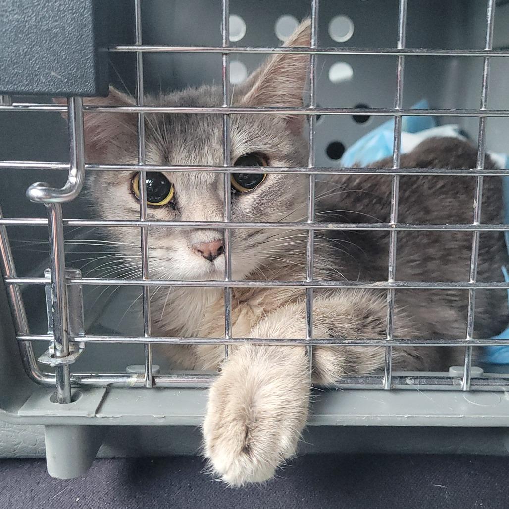 Dani — thumbnail 2