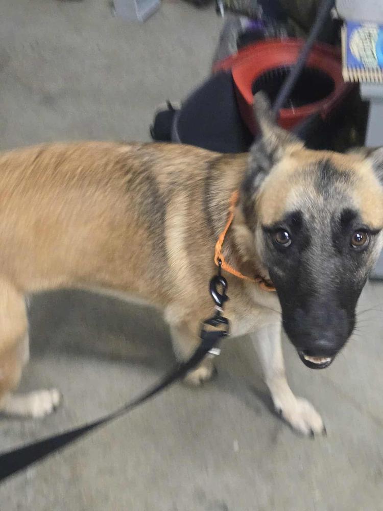 Louise  Located In thumbnail 4