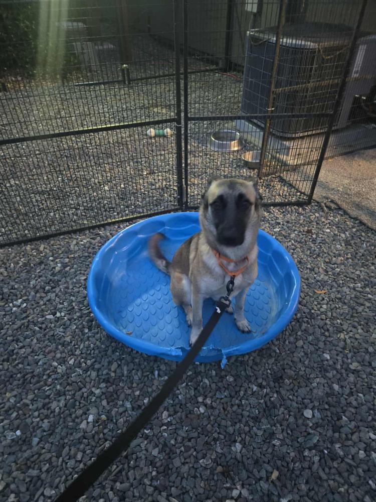 Louise  Located In thumbnail 5