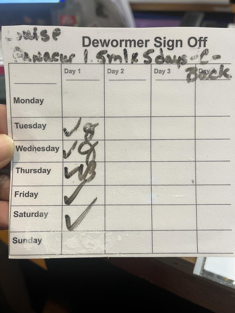 Enlarge Louise, a Adopted mixed breed in Opelousas, LA image 2/4