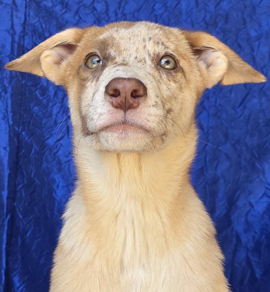 Polly Cooman thumbnail 2