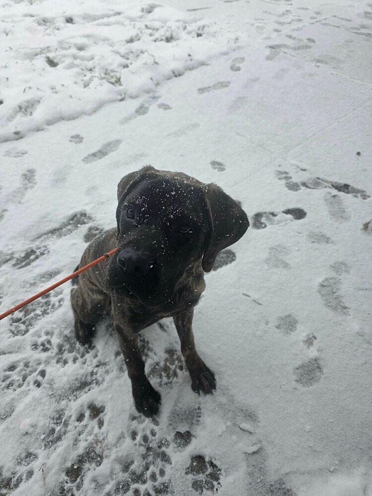 Darlaaka Dara thumbnail 3