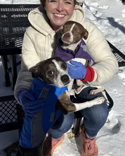 Enlarge Mabel, a Adoptable mixed breed in Washington, DC image 2/2