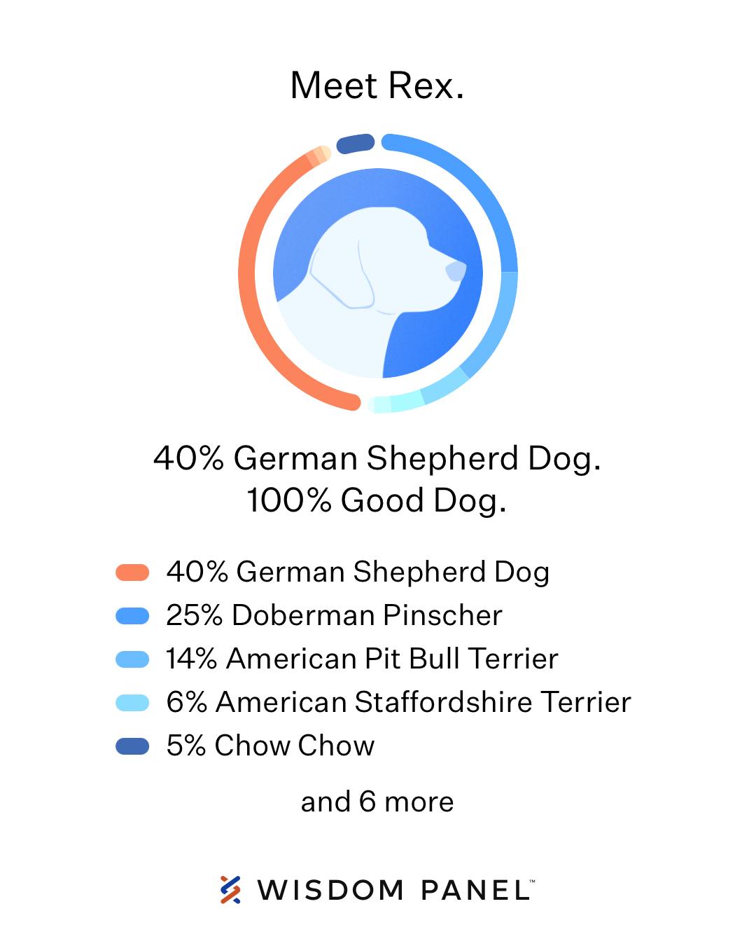 Enlarge Rex, a ADOPTABLE mixed breed in Santa Cruz, CA image 3/6