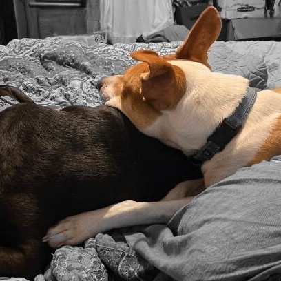 Thomas The Lover Boy — thumbnail 2