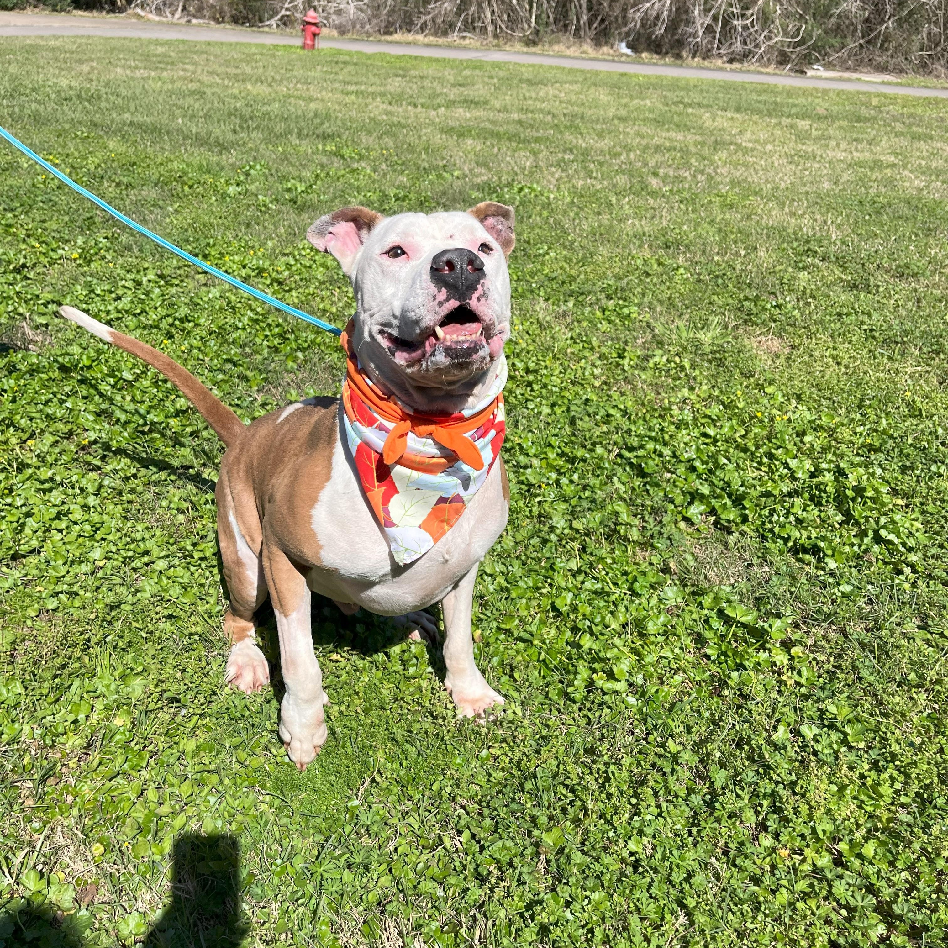 Coors — thumbnail 5