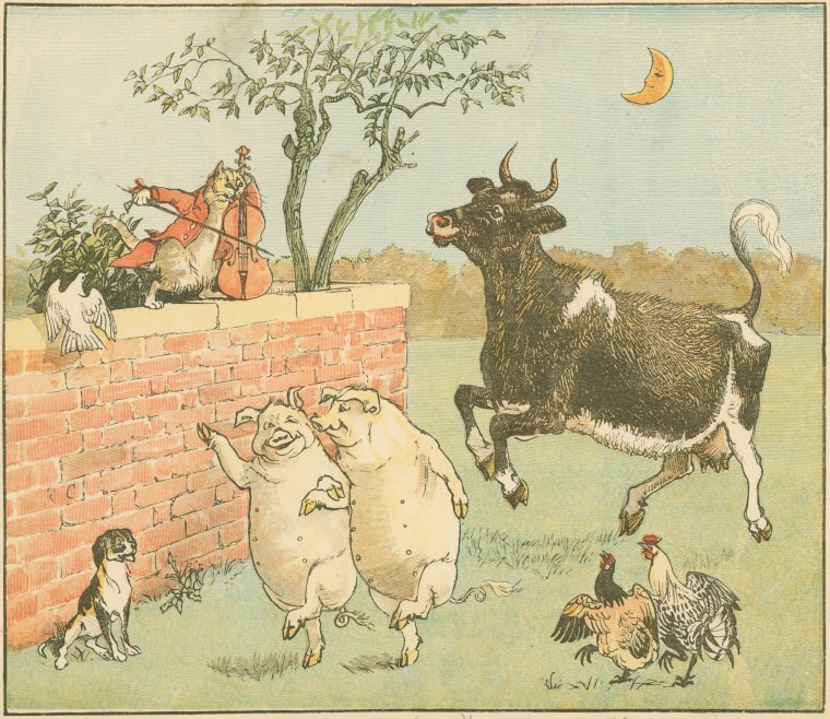 Barn Cats, a Adoptable mixed breed in East Garafraxa, ON image 1/2